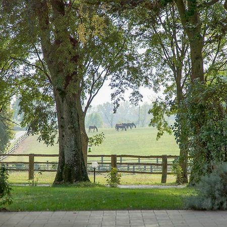 Tenuta Mariano Noceto Zewnętrze zdjęcie